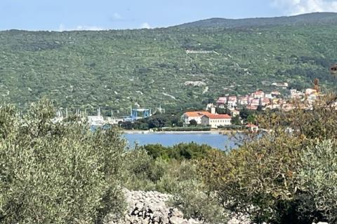 Krk,grad Krk,maslinik na prekrasnoj lokaciji,pogled na more