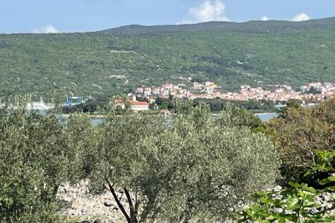 Krk,grad Krk,maslinik na prekrasnoj lokaciji,pogled na more