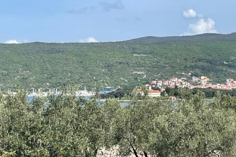 Krk,grad Krk,maslinik na prekrasnoj lokaciji,pogled na more