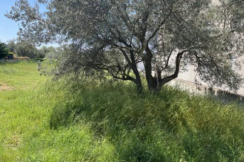 Building plot Peroj, Vodnjan, 797m2