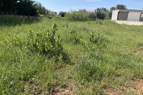 Building plot Peroj, Vodnjan, 797m2