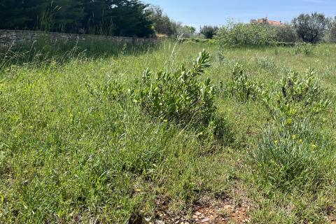 Building plot Peroj, Vodnjan, 797m2