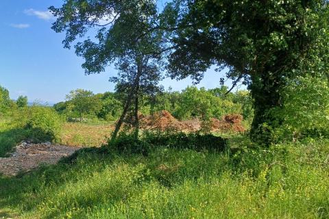 Istra,Rakalj okolica-parcela sa građevinskom dozvolom