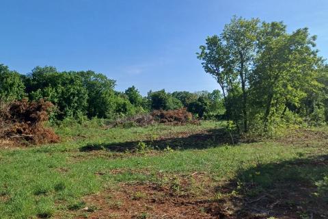 Istra,Rakalj okolica-parcela sa građevinskom dozvolom