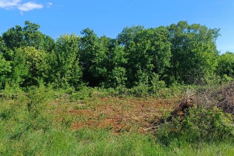Istra,Rakalj okolica-parcela sa građevinskom dozvolom