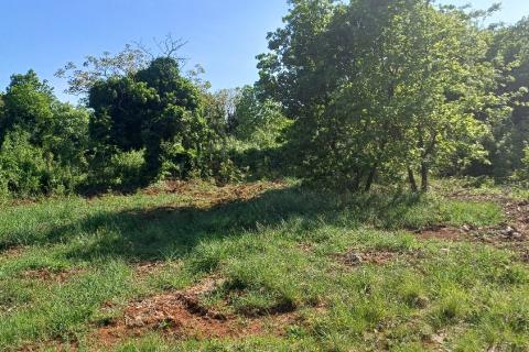 Istra,Rakalj okolica-parcela sa građevinskom dozvolom