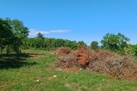 Istra,Rakalj okolica-parcela sa građevinskom dozvolom