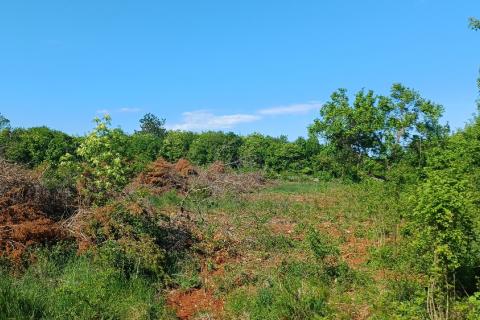 Istra,Rakalj okolica-parcela sa građevinskom dozvolom