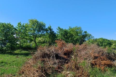 Istra,Rakalj okolica-parcela sa građevinskom dozvolom