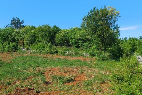 Istra,Rakalj okolica-parcela sa građevinskom dozvolom