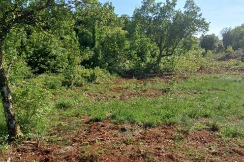 Istra,Rakalj okolica-parcela sa građevinskom dozvolom