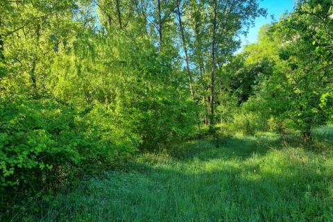 Buzet, Zonti - građevinsko zemljište turističke i dr namjene