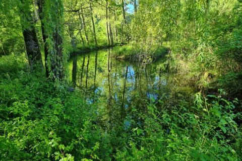 Buzet, Zonti - građevinsko zemljište turističke i dr namjene