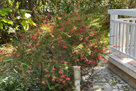 Haus Milčetići, Malinska-Dubašnica, 320m2