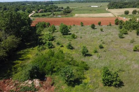 Building plot Poreč okolica, Poreč, 8.154m2