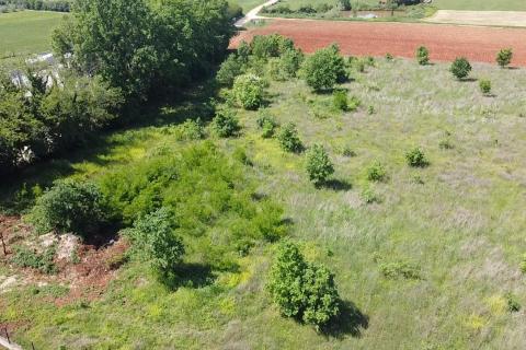 Building plot Poreč okolica, Poreč, 8.154m2