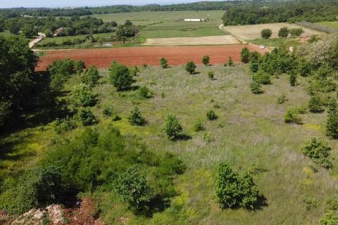 Building plot Poreč okolica, Poreč, 8.154m2