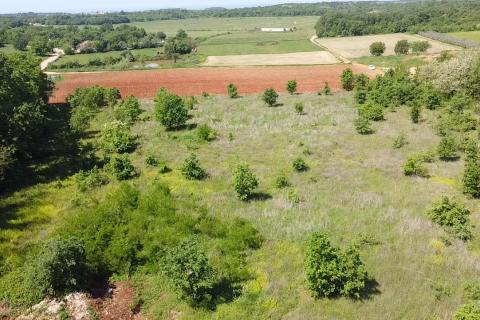 Building plot Poreč okolica, Poreč, 8.154m2