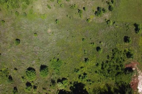 Building plot Poreč okolica, Poreč, 8.154m2