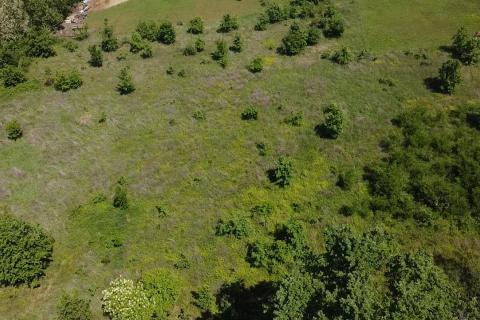 Building plot Poreč okolica, Poreč, 8.154m2