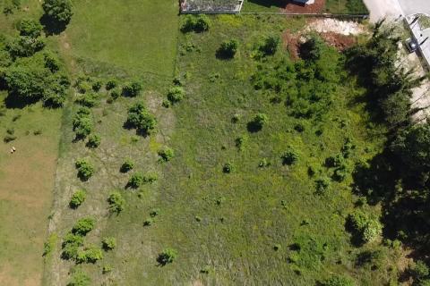 Building plot Poreč okolica, Poreč, 8.154m2