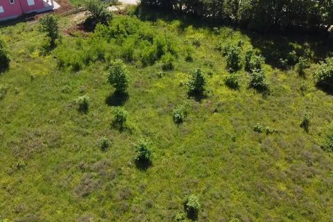 Building plot Poreč okolica, Poreč, 8.154m2