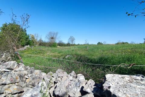 Building plot Bale, 857m2