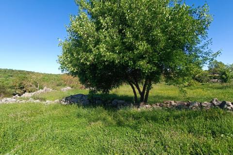 Building plot Bale, 857m2