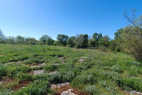 Building plot Bale, 1.235m2