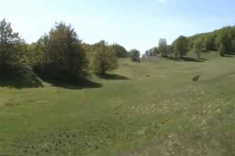 Земельный участок строительного назначения Jelenje, 43.564m2