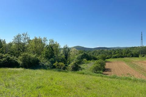 Buzet, okolica - zemljište sa pogledom na Motovun