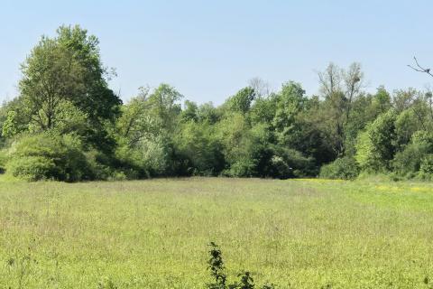 Building plot Bapča, Velika Gorica - Okolica, 14.750m2