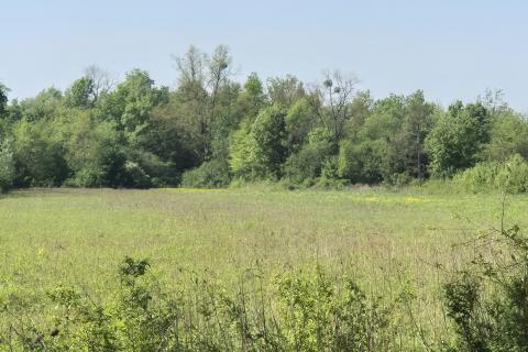 Building plot Bapča, Velika Gorica - Okolica, 14.750m2