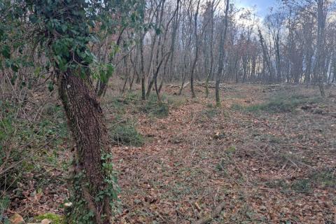 Земельный участок строительного назначения Kringa, Tinjan, 1.150m2