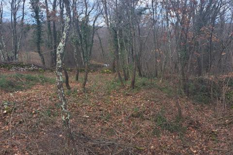 Земельный участок строительного назначения Kringa, Tinjan, 1.150m2