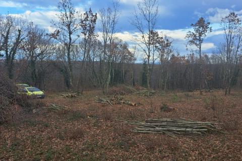 Земельный участок строительного назначения Kringa, Tinjan, 1.150m2