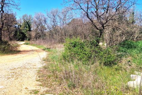 Istra,Umag-Grđevinsko zemljište gospodarske namjene