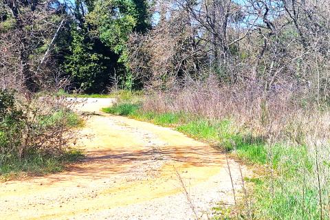 Istra,Umag-Grđevinsko zemljište gospodarske namjene