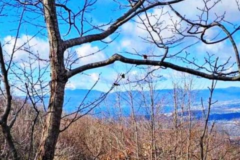 Hreljin, šumsko zemljište od 20000m2 s pogledom na more