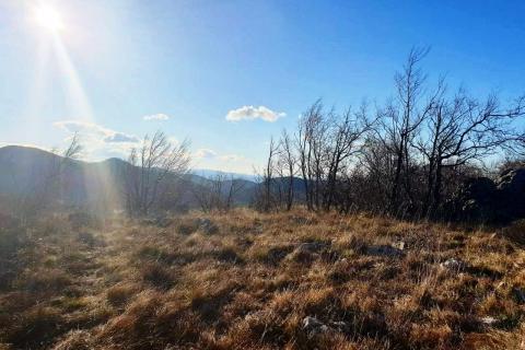 Hreljin, šumsko zemljište od 20000m2 s pogledom na more