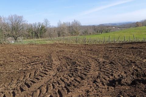 Istra, Vižinada - okolica, građevinsko zemljište otvorenog pogleda na prirodu