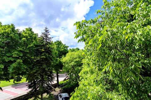 Istra,Umag,garsonjera-200 m od mora