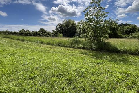 Building plot Gradina, Sveti Lovreč, 819m2