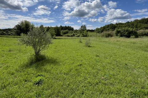 Building plot Gradina, Sveti Lovreč, 819m2