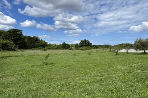 Building plot Gradina, Sveti Lovreč, 819m2