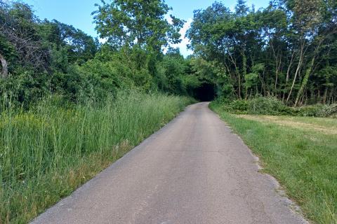 Земельный участок строительного назначения Grandići, Barban, 5.197m2