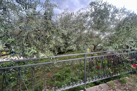 Poreč, okolica - kuća od tri dijela sa dvorištem 