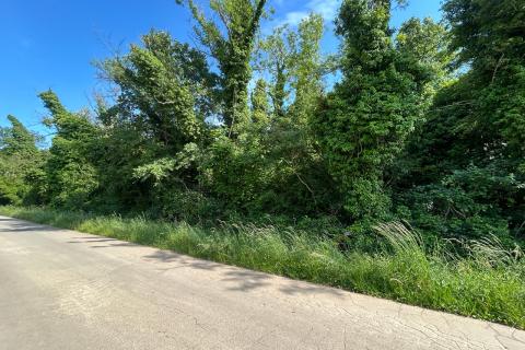 Poreč - okolica, lijepo poljoprivredno zemljište od 9317 m2