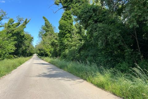 Poreč - okolica, lijepo poljoprivredno zemljište od 9317 m2