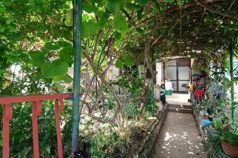 Istra, Rovinj - Višestambena kuća s 5 stambenih jedinica, dvorištem i pogledom na zelenilo